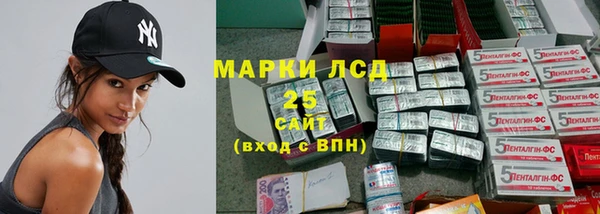 дмт Алзамай