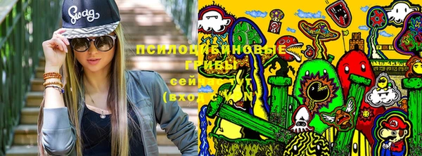 дмт Алзамай