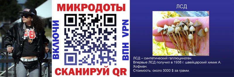 Псилоцибиновые грибы MAGIC MUSHROOMS  Мыски 
